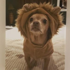 Meet your Posher, Elle